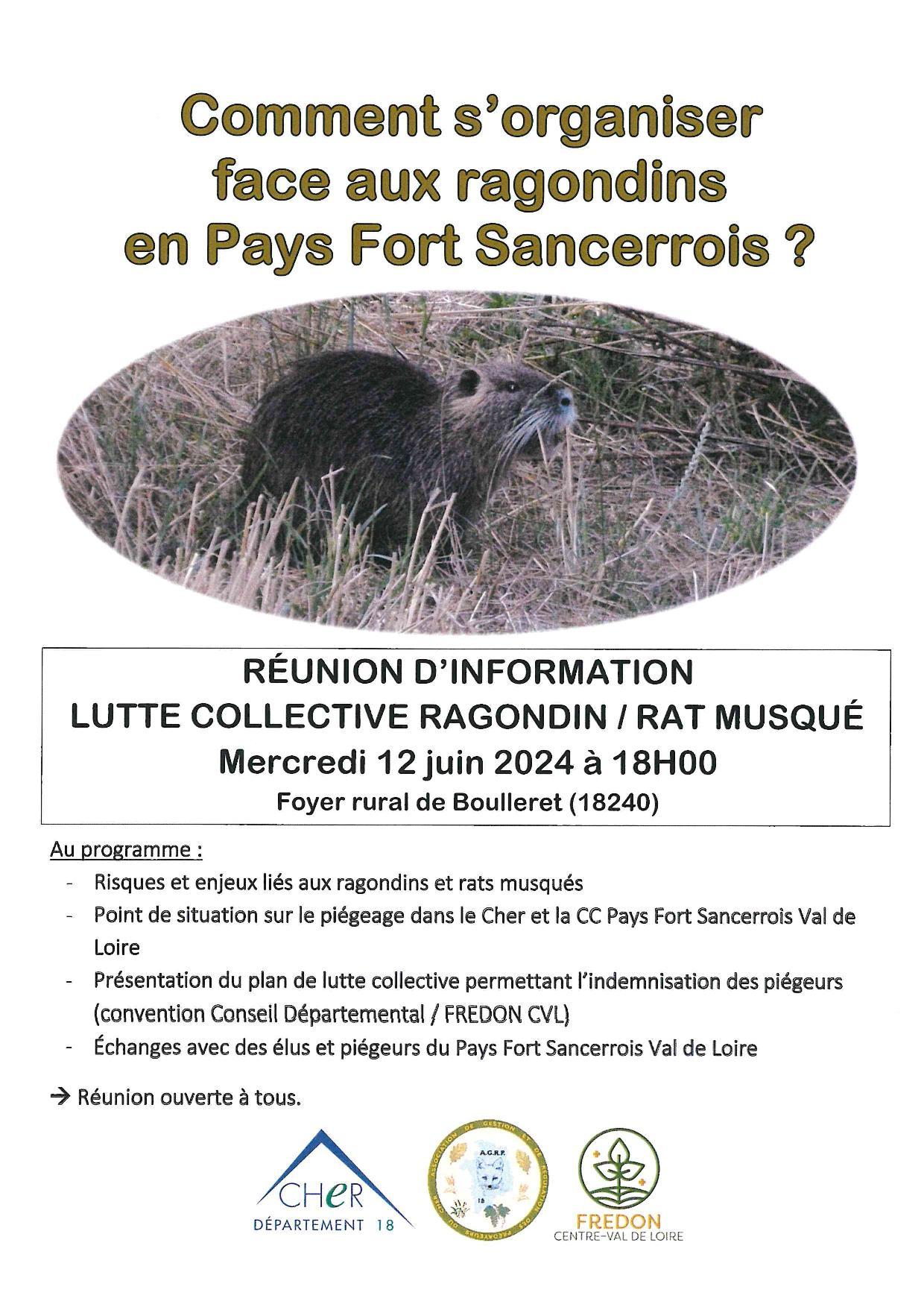 Lutte ragondins